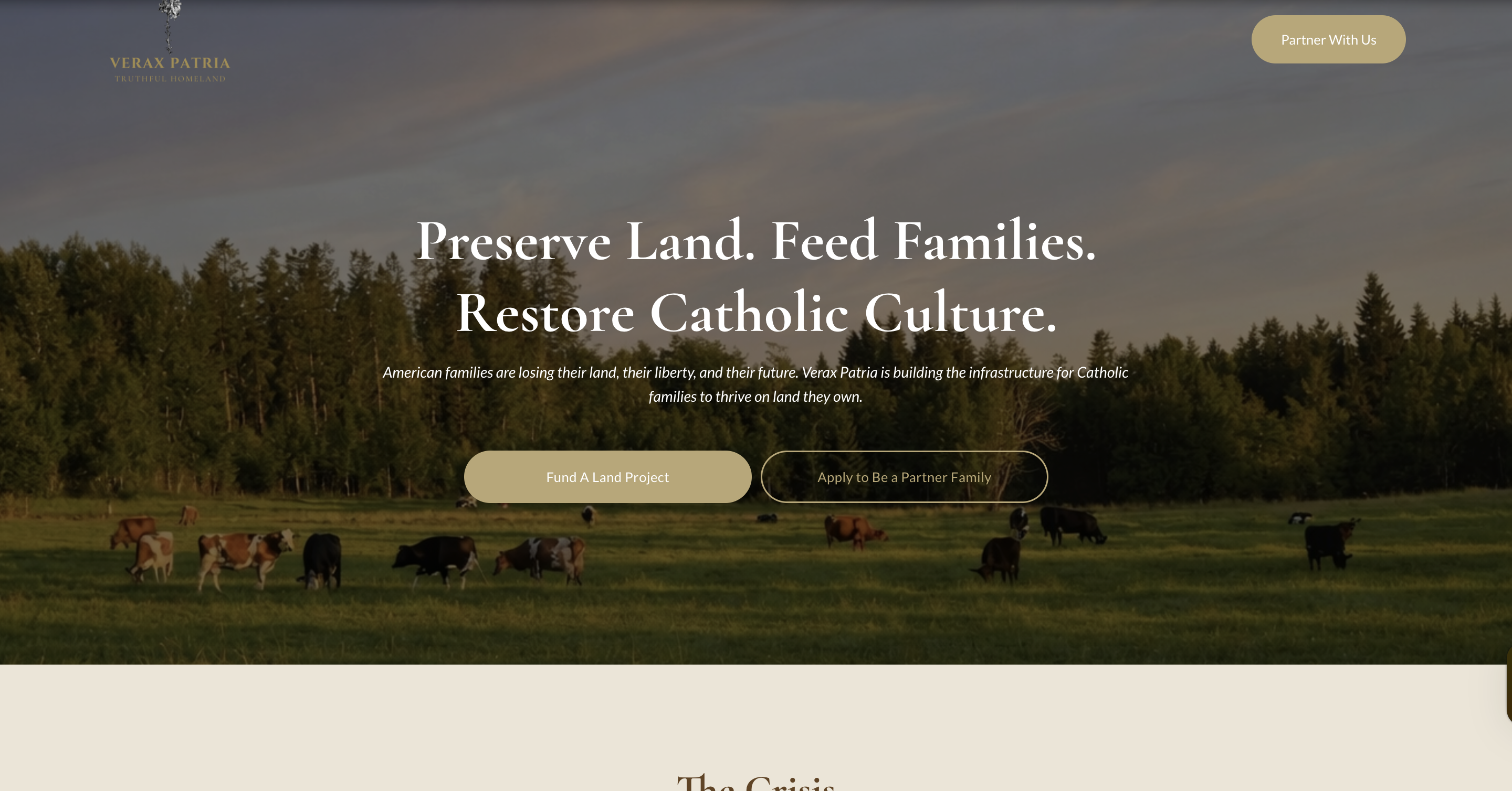 Before — Verax Patria brand